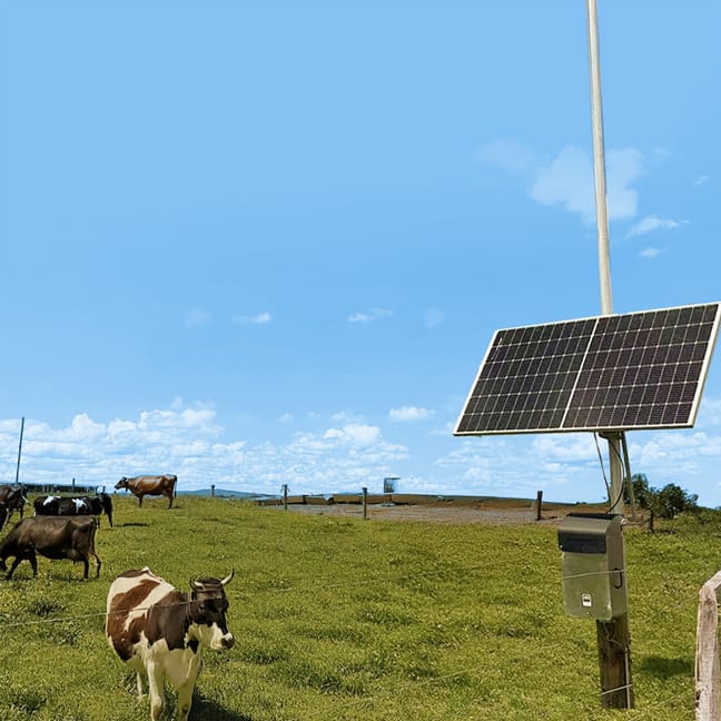 RAK7285 Gateway enables reliable LoRaWAN for livestock tracking in remote Australian and New Zealand farms.