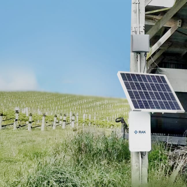Solar-powered WisGate gateways provide long-range LoRaWAN for smart farming in vineyards across Spain and New Zealand