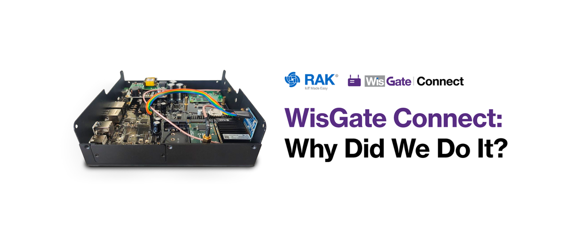 WisGate Connect: Why Did We Do It?