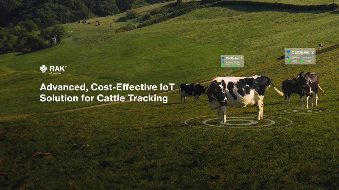 Moovement's Innovative Approach: Affordable Cattle Tracking with IoT and LoRaWAN®