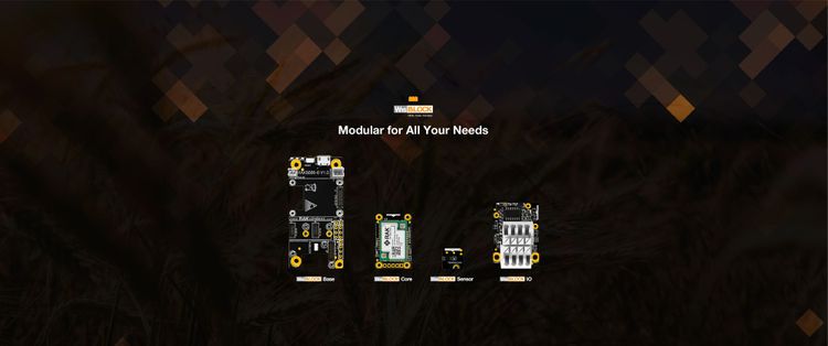 Build your IoT Breakthroughs Fast with the WisBlock System!