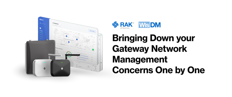 WisDM: Bringing Down your Gateway Network Management Concerns One by One